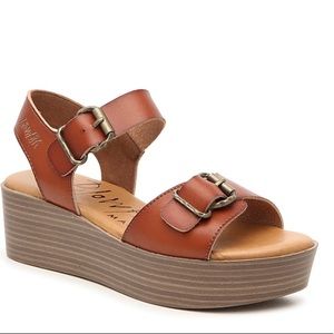 LEEDS WEDGE BLOWFISH, New